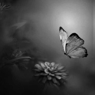 Karlaechoes2's profile picture. new account for Karlaechoes