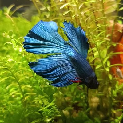 kr_nowakowski's profile picture. 