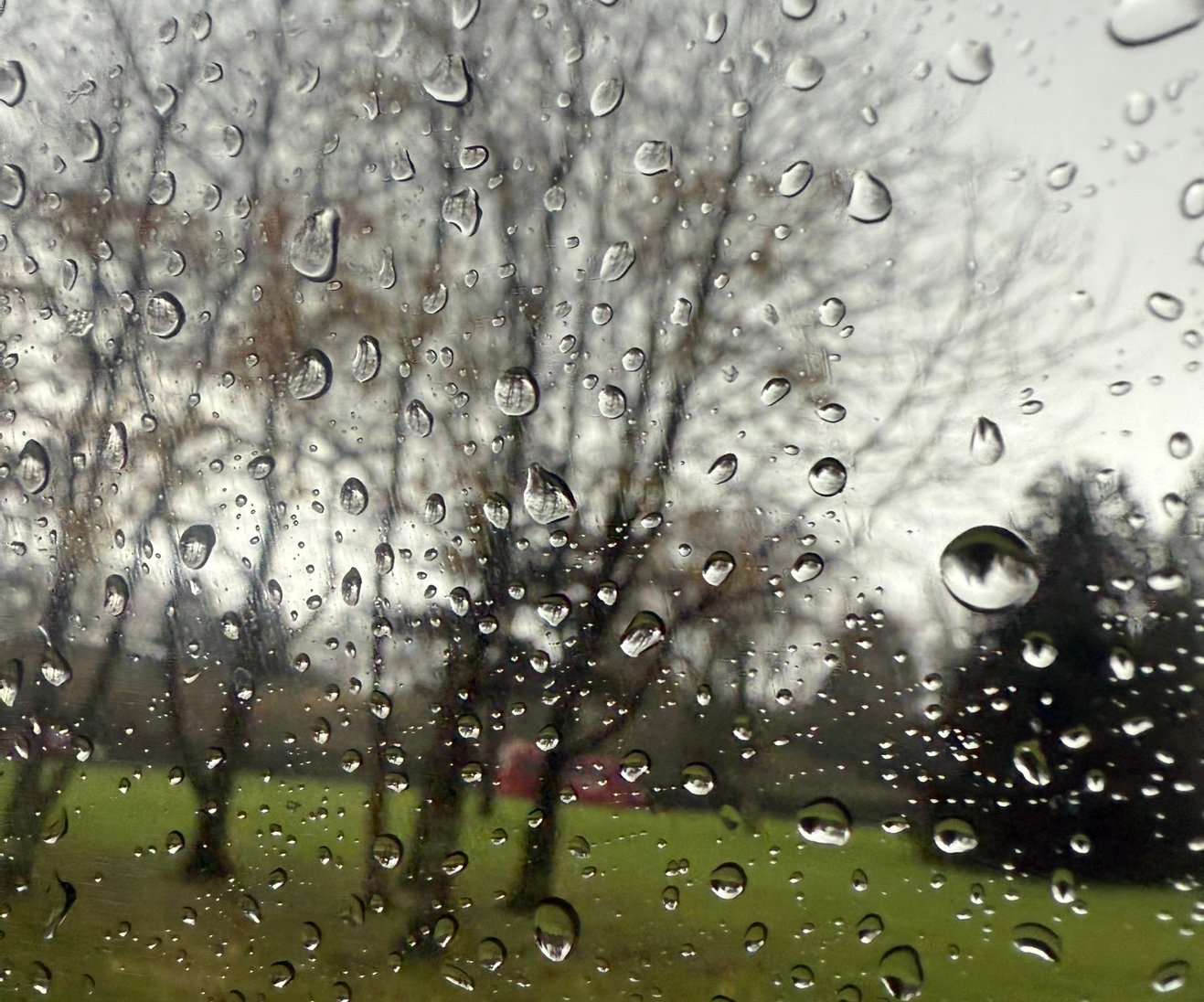 CloudyBoonh's profile picture. 