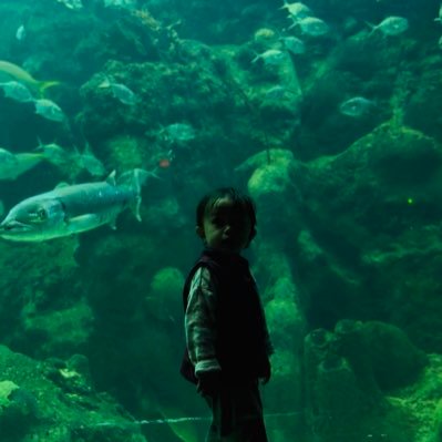 0xShip_'s profile picture. Building @RISEx_trade | contributor to @risechain | co-founder of BSX (acquired) | ex-VC at Kraken and Jump