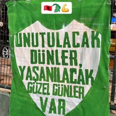 emirozerr1989's profile picture. 