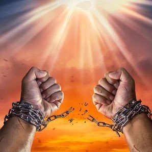 Michael7235299's profile picture. 