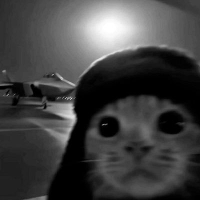 n5f7l's profile picture. شاهي كرك ☕️ (ضائع وسط العالم)