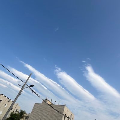 hog88888's profile picture. 