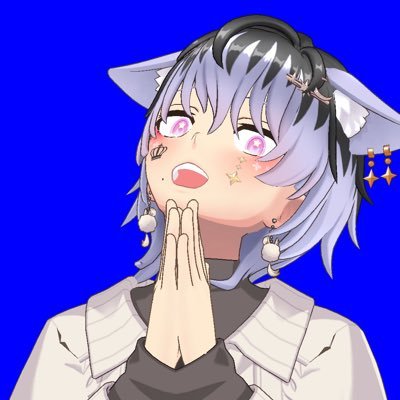 えぬⁿ🐈‍⬛⚽️ のアバター