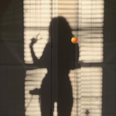 ethicalgirlperv's profile picture. crunchwrap fanatic. zohran mamdani supporter.