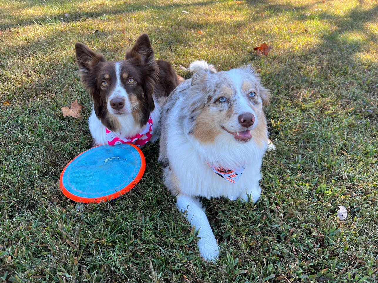 LJIsabell6's profile picture. 