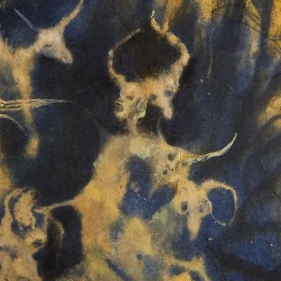 llotuseater5's profile picture. AuDHD'er.