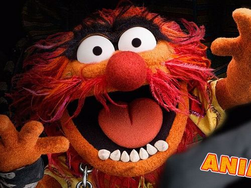 gadgetlittle's profile picture. 