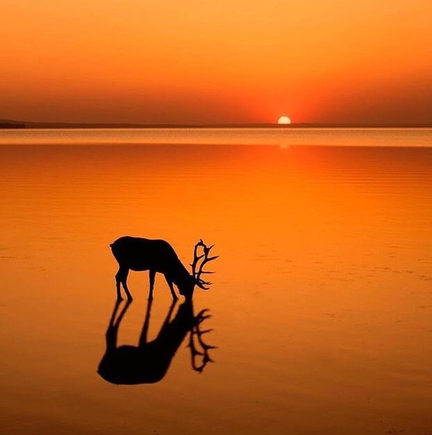 JohnnyrunnerOZ's profile picture. 