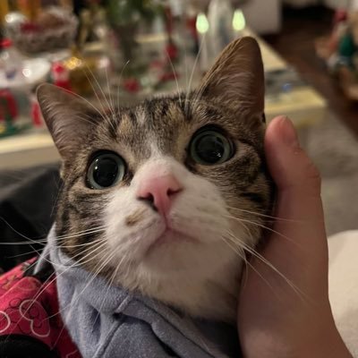 dreaariasx's profile picture. 