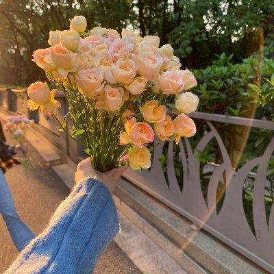 djsopjopds's profile picture. 彼女は旅を愛し、さまざまな国や街を歩きながら経験を重ね、大人の女性ならではの優雅さと安定感を放っている ✨