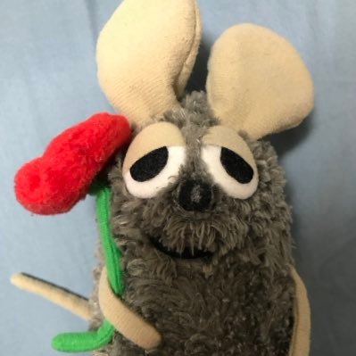 nejumidayo404's profile picture. 