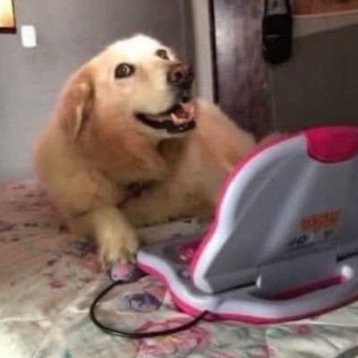 alexiallll's profile picture. 