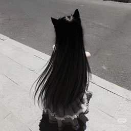 petcat's profile picture. internet princess ♡ྀིྀི