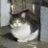 Hyangsue_jih's profile image