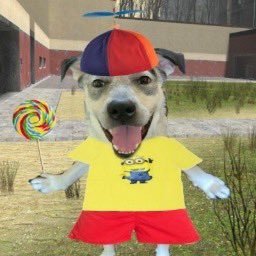 lornehello's profile picture. sports fan but leftistly