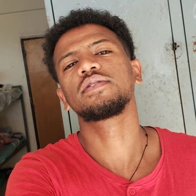 thomasgonderine's profile picture. sunflower