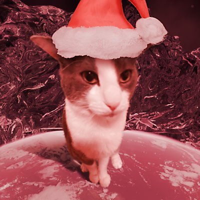 ssoggycat's profile picture. 
