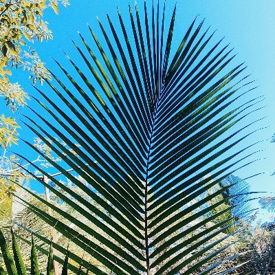 davemayur's profile picture. Product/Tech guy@Jio, Friend. #Jesus, AI, ML, Telecom, Cybersecurity.
Tweets and re-tweets are personal opinion.