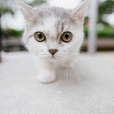 DayWesley38778's profile picture. Making the world better through surfing