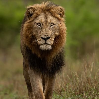 AndresOate74257's profile picture. 