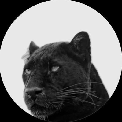 fierro9f's profile picture. 