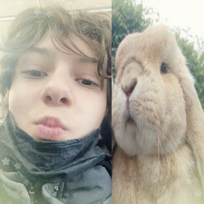 hamadaitb's profile picture. 2:286