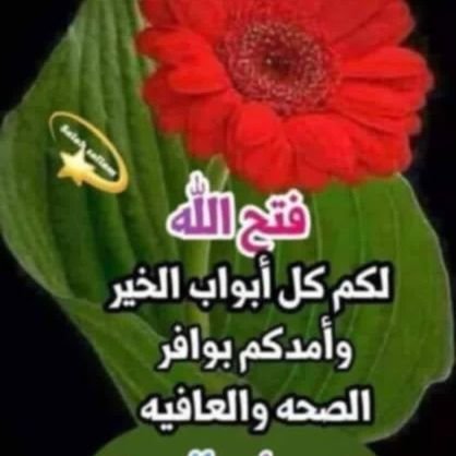 dmha13988's profile picture. 