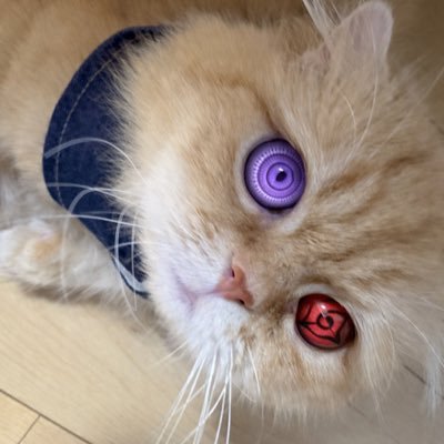 cho6_p's profile picture. 日本人スカッドのみでefootballしてます。