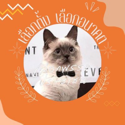 trendforMFP's profile picture. แชร์ข่าวสารพรรคส้ม, "ตำแหน่งโปลิตบูโร☢"