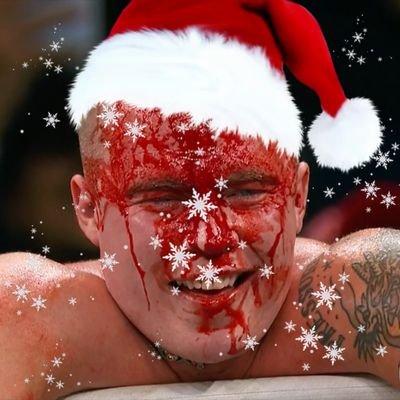 𝓕𝓮𝓼𝓽𝓲𝓿𝓮 𝓥𝓲𝓼𝓲𝓸𝓷 ☃️🎄❄️ Profile