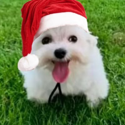 mijbol's profile picture. No information given.