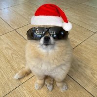 pomkori_X's profile picture. $KORI CA: HtTYHz1Kf3rrQo6AqDLmss7gq5WrkWAaXn3tupUZbonk