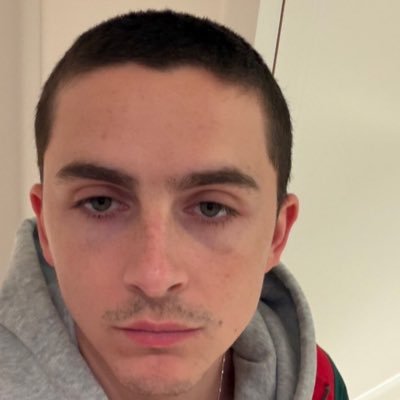 ChalametParody's profile picture. Parody Acc | 21+ | NSFW |