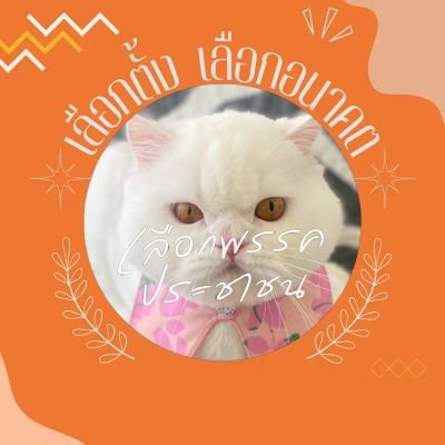 TK6888's profile picture. สนับสนุนพรรคประชาชน และ คณะก้าวหน้า 
แบบ 100% 🧡🧡🧡