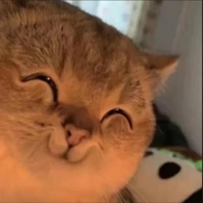 plmz95's profile picture. fan acc