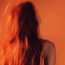 shawnwrvous's profile picture. 