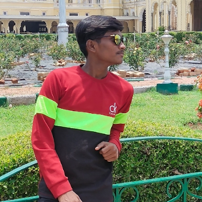 DevRaja0309's profile picture. 