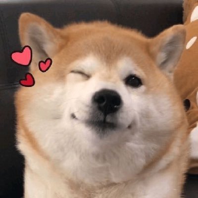 DDWangYi1's profile picture. แอคนี้ติ่งอี้ป๋อเป็นหลักครับ ช่วงนี้มีติ่ง ตฟว เพิ่มมาด้วย ใครไม่โอเคอันฟอลได้น้า เราเปิดออกมาเพื่อตามข่าวน้องๆค้าบ 💚