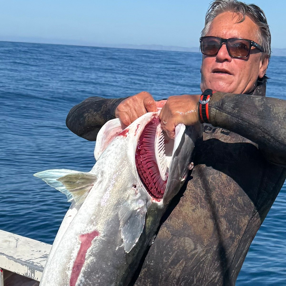 DeanSavage1971's profile picture. 