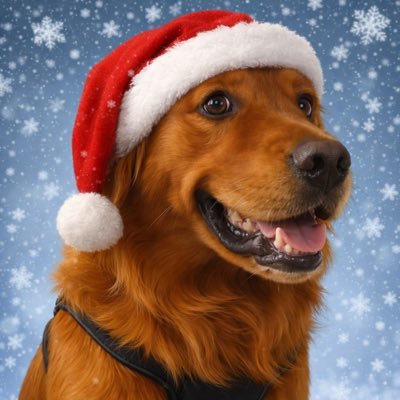 Dburly83's profile picture. Crypto Enthusiast, Lifelong Learner, Jack of All Trades, 1% Better Every Day