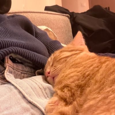 duchesseloulou's profile picture. 