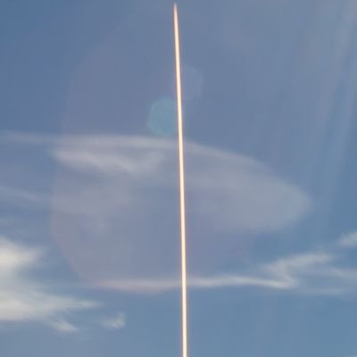 stshp95107's profile picture. 