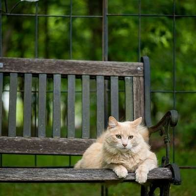 SandovalDe71873's profile picture. thinker | Remote Worker 🌱 🌿 🍃