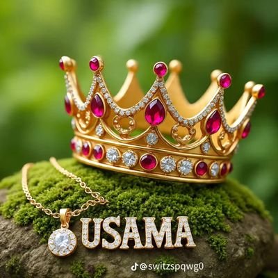 Usama8261619's profile picture. #Pakistan  @MoulanaOfficial #JUI #Muslims #PeshawarZalmi  @baberazam258 @TheRealPCB @Masif477751