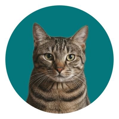 PedarePablo's profile picture. و نگار و کارون و سعید🔸#گربوی🔸@neglohotel