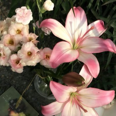 0i_ax's profile picture. ﴿ رَبِّ اشرَح لِي صَدرِي ويسِّر لِي أَمرِي ﴾