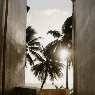 baynonly's profile picture. داعم لافضل يوتيوبر ROC’s squad💜