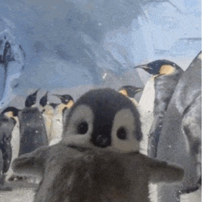 sakamotomen's profile picture. 今夜を眠り続ける